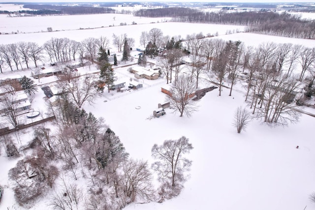 11870 Woodland Dr, Lennon, MI 48449 - view of snowy aerial view