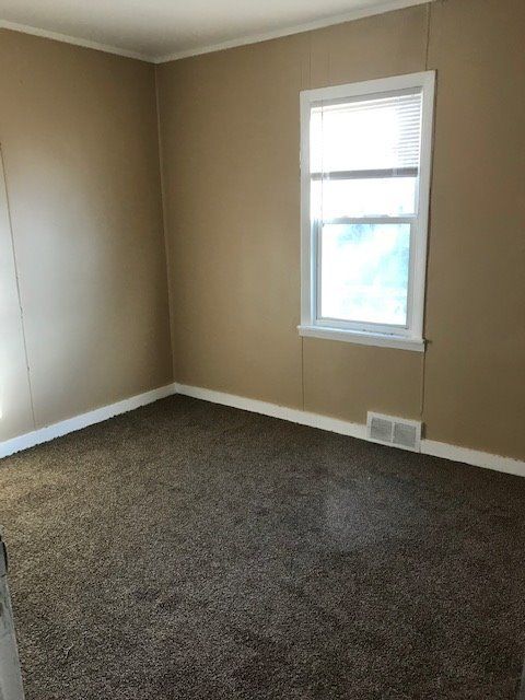 carpeted spare room with crown molding