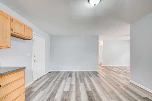 interior space with light hardwood / wood-style flooring and a textured ceiling