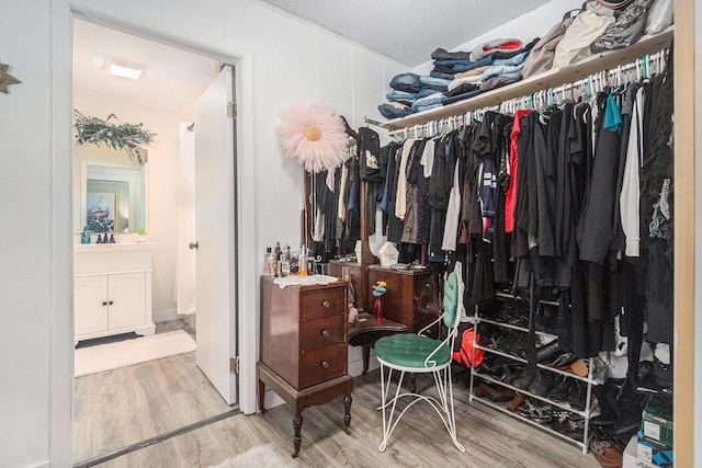 spacious closet with hardwood / wood-style flooring