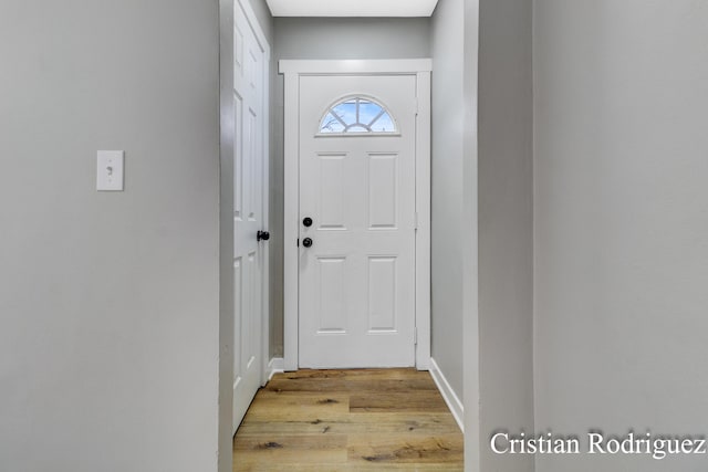 doorway featuring wood-type flooring