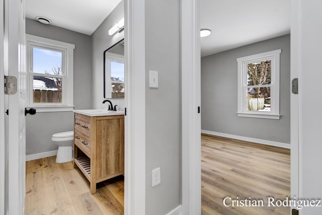 bathroom with vanity, wood-type flooring, and toilet