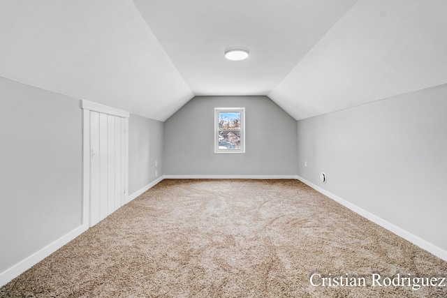 additional living space with vaulted ceiling and carpet