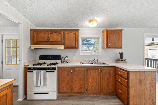 kitchen featuring sink, ornamental molding, light hardwood / wood-style floors, kitchen peninsula, and white gas stove