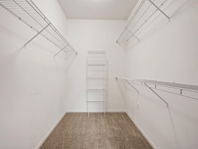 walk in closet featuring carpet flooring