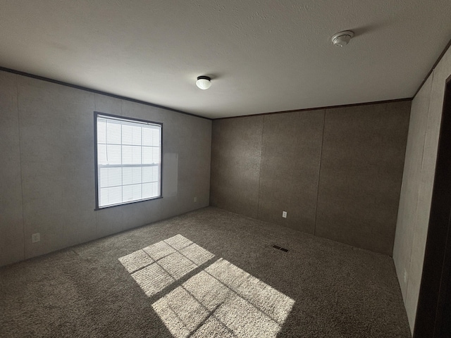 empty room featuring carpet and a textured ceiling