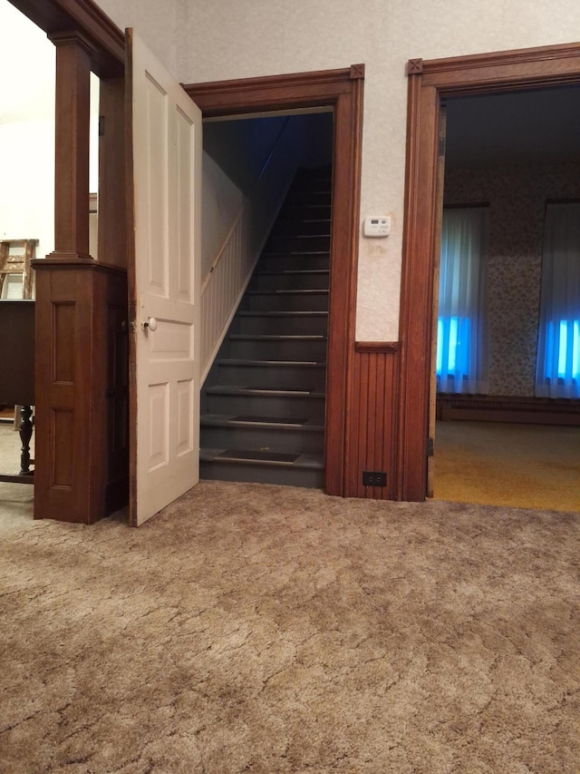 stairway with carpet flooring