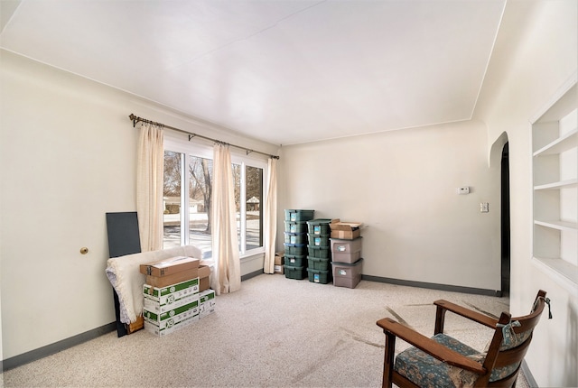 sitting room featuring light colored carpet