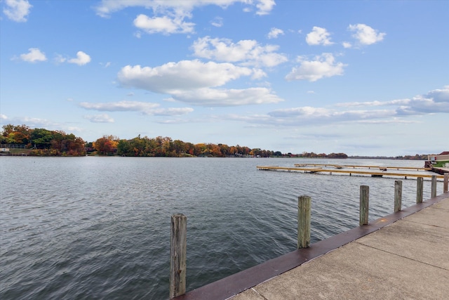 dock area with a water view