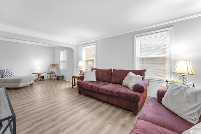 living room featuring crown molding and light hardwood / wood-style flooring