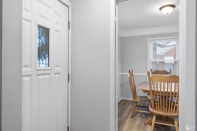 foyer with hardwood / wood-style flooring