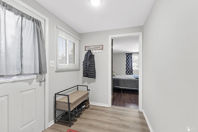 interior space featuring a healthy amount of sunlight and light hardwood / wood-style floors