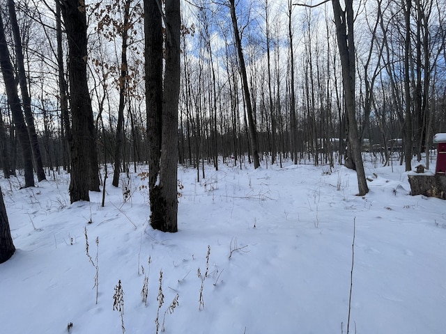 view of yard layered in snow