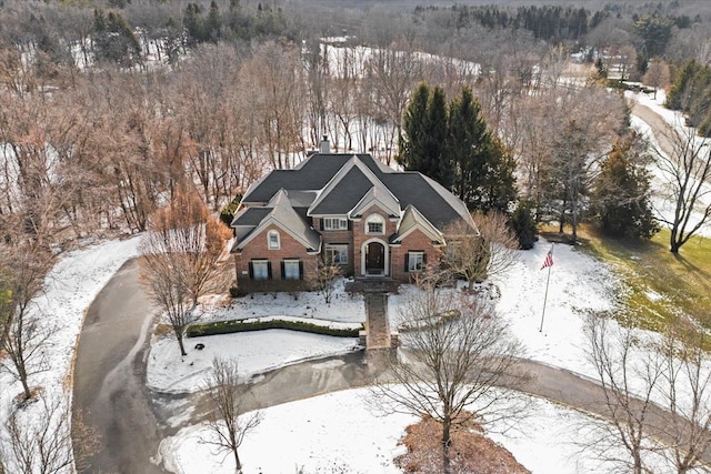 view of snowy aerial view