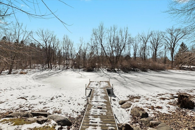 view of yard covered in snow