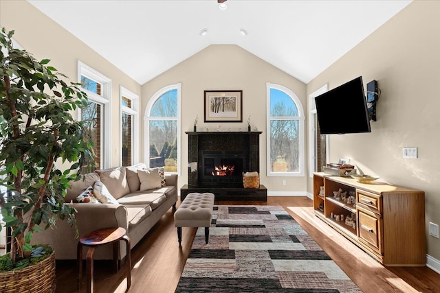 living room featuring lofted ceiling and hardwood / wood-style floors