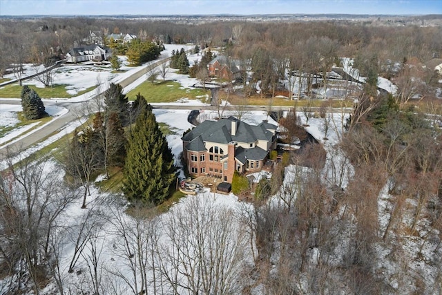 view of snowy aerial view