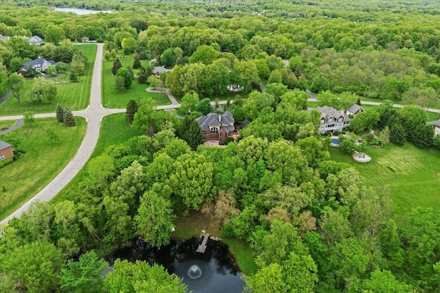 2833 Stone Meadow Dr, Milford, MI 48380 - photo 81