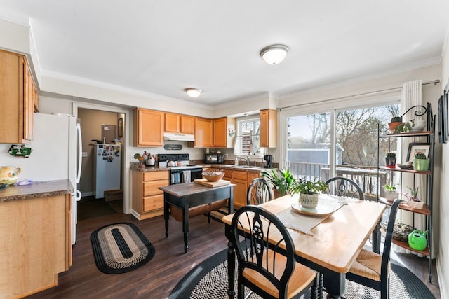 kitchen featuring a healthy amount of sunlight, range with electric stovetop, a sink, and under cabinet range hood