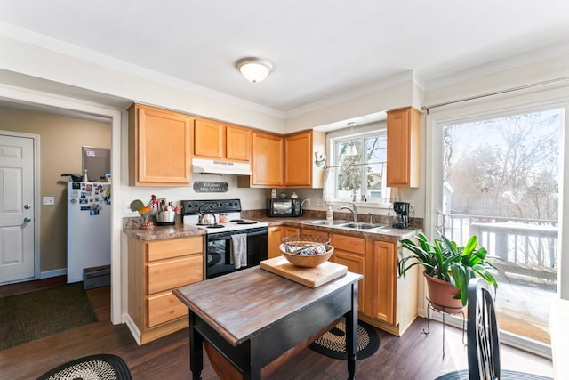 kitchen featuring refrigerator, electric stove, dark wood-type flooring, a sink, and under cabinet range hood