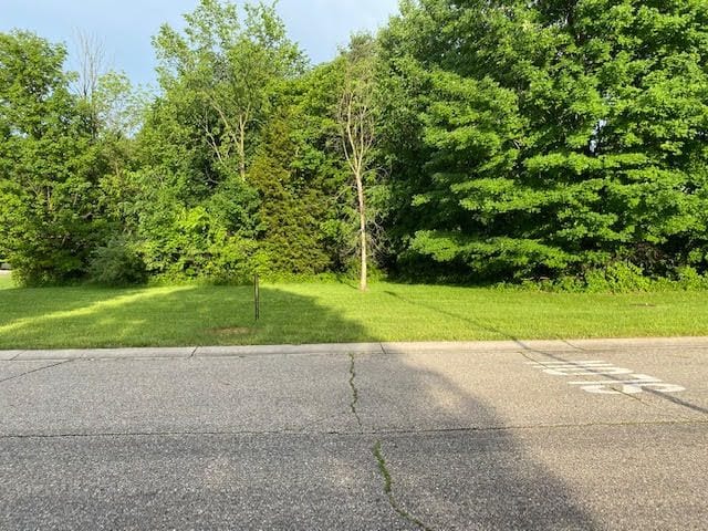 667 Bending Brook Dr, Flushing MI, 48433 land for sale