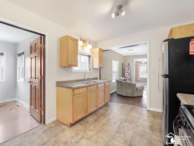 kitchen featuring sink, light brown cabinets, and appliances with stainless steel finishes