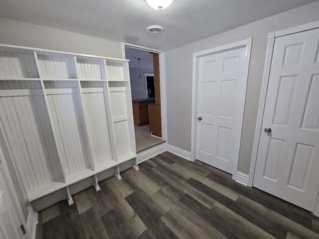 mudroom with dark hardwood / wood-style flooring