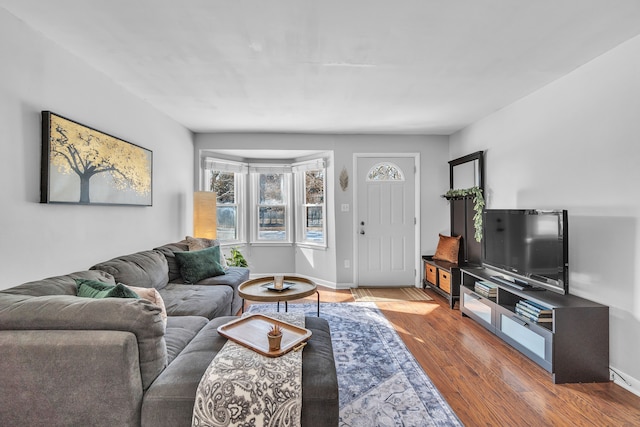 living room with dark hardwood / wood-style flooring