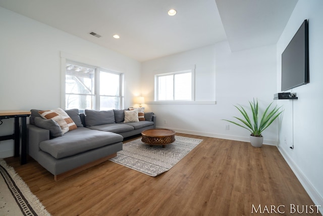 living room featuring wood-type flooring