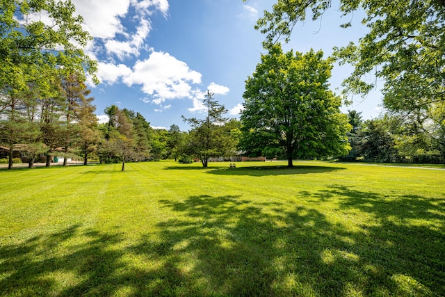 7500 Dexter Pinckney Rd, Dexter, MI 48130 - view of yard