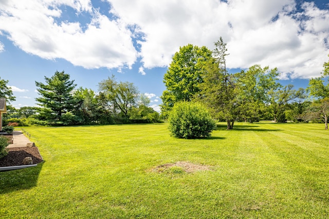 7500 Dexter Pinckney Rd, Dexter, MI 48130 - view of yard