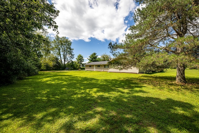 7500 Dexter Pinckney Rd, Dexter, MI 48130 - view of yard