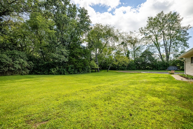 7500 Dexter Pinckney Rd, Dexter, MI 48130 - view of yard