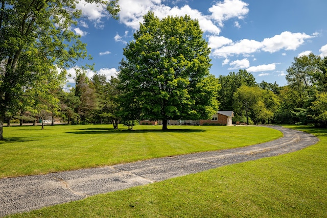 7500 Dexter Pinckney Rd, Dexter, MI 48130 - view of community featuring a yard