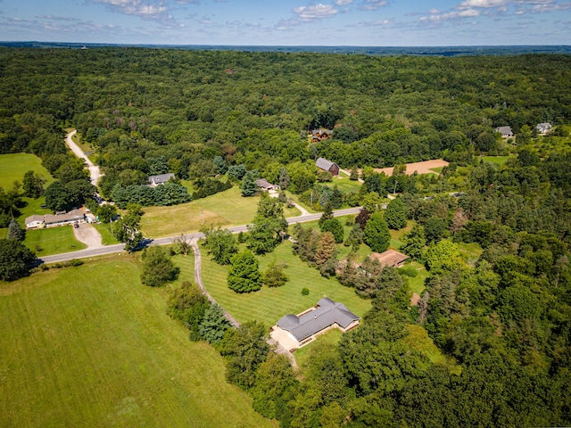 7500 Dexter Pinckney Rd, Dexter, MI 48130 - drone / aerial view
