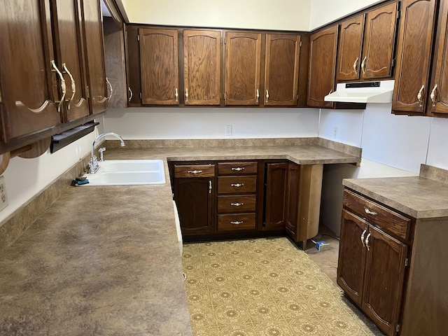 kitchen with dark brown cabinets and sink