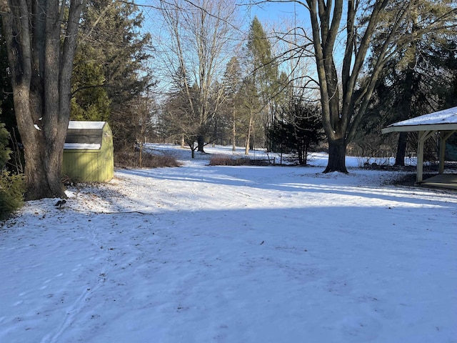 view of snowy yard