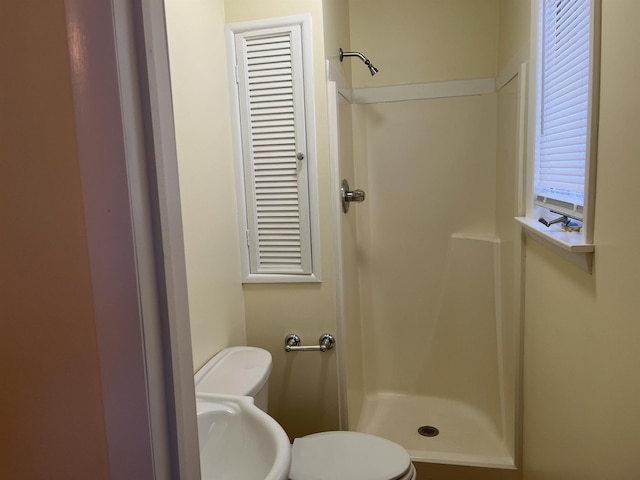 bathroom with toilet and a shower