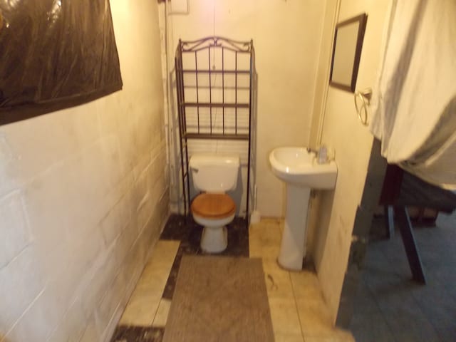 bathroom with a sink and toilet