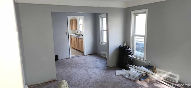 empty room featuring light colored carpet and sink