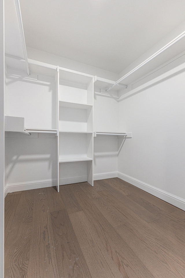 spacious closet with dark wood-type flooring