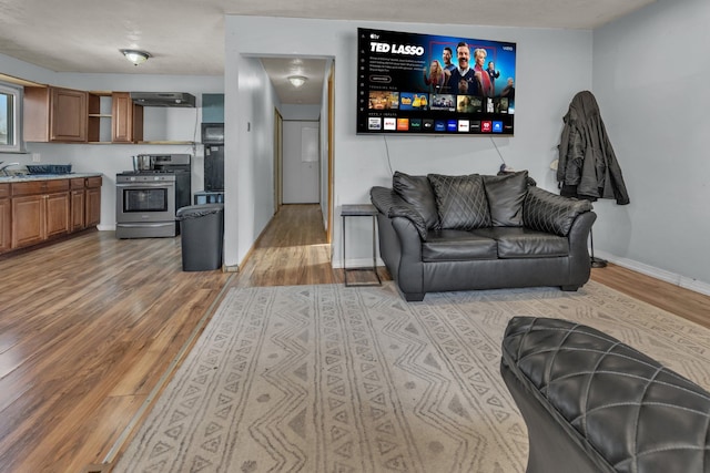 living room featuring hardwood / wood-style flooring and sink