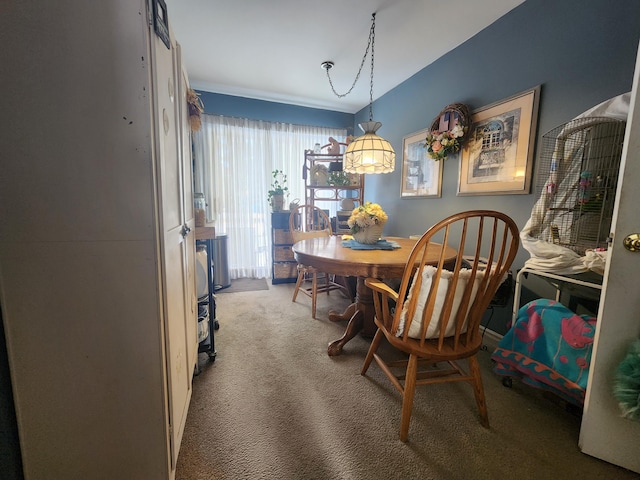 dining area with carpet floors