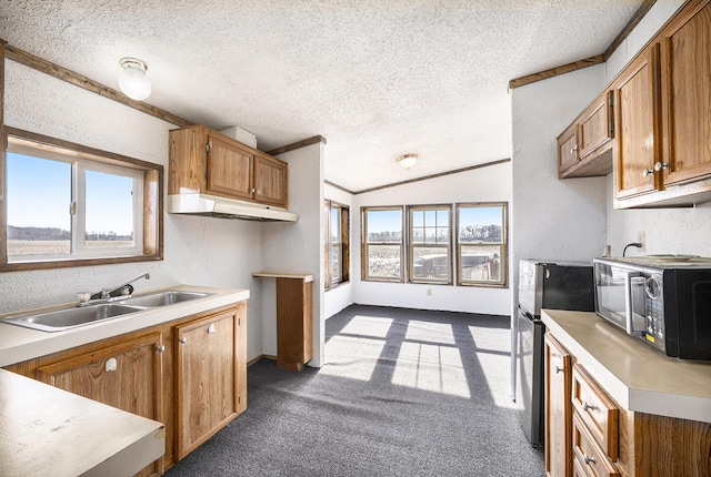 kitchen with dark colored carpet, plenty of natural light, a textured ceiling, and stove