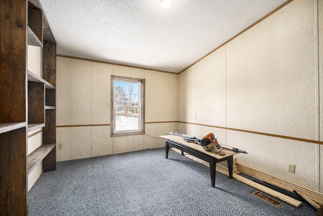 unfurnished office with carpet floors and a textured ceiling