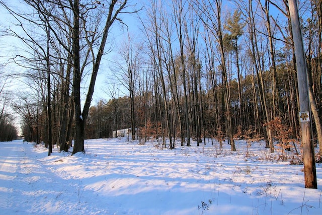 view of yard layered in snow