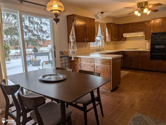 kitchen featuring stainless steel gas cooktop, sink, and ceiling fan