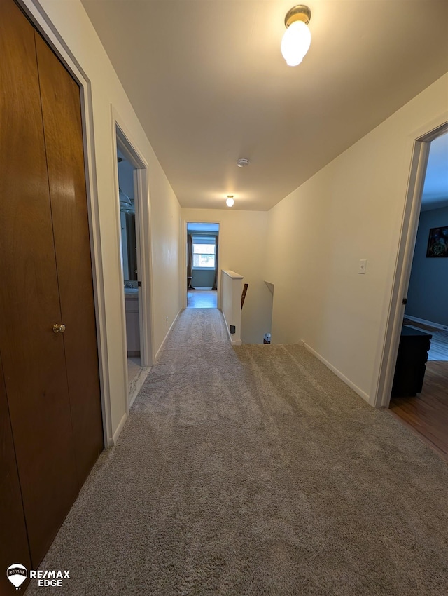 hallway with carpet flooring