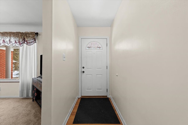 doorway to outside with carpet floors