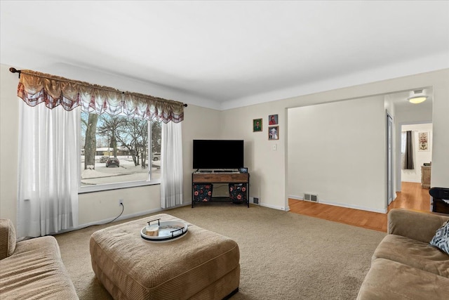 living room featuring carpet flooring